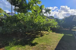 1133 Aukele St, Kailua, HI 96734 - Photo 4