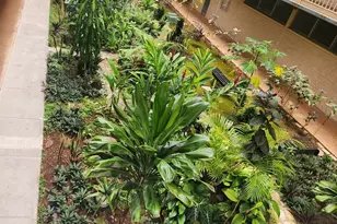 95-2031 Waikalani Pl, Mililani, HI 96789 - Photo 8