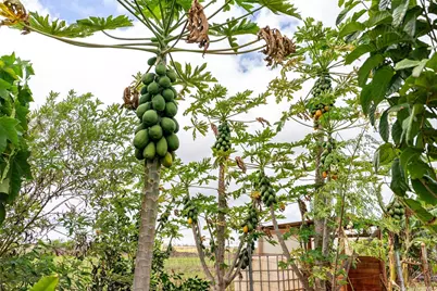 64-486 Kamehameha Highway #23, Haleiwa, HI 96712 - Photo 22