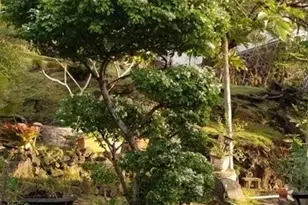 1445 Mokuna Pl, Honolulu, HI 96816 - Photo 18