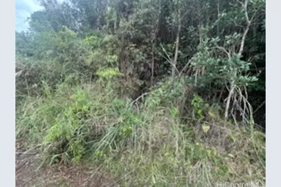 0 Huina Road, Mountain View, HI 96771 - Photo 4