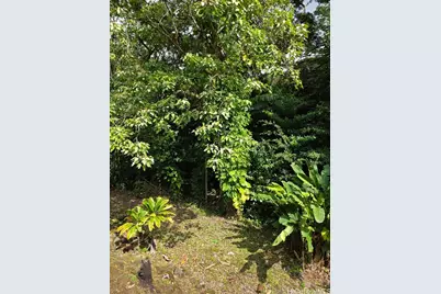 3545 Waakaua Street, Honolulu, HI 96822 - Photo 6