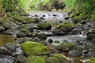 3545 Waakaua St, Honolulu, HI 96822 - Photo 2