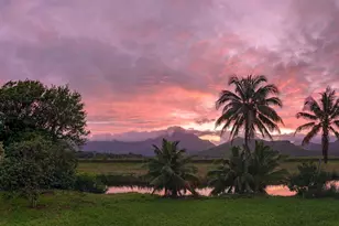 221 Kihapai St, Kailua, HI 96734 - Photo 6