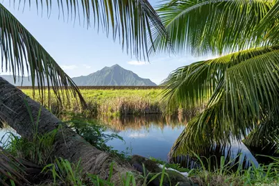221 Kihapai Street, Kailua, HI 96734 - Photo 20