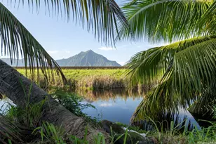 221 Kihapai St, Kailua, HI 96734 - Photo 20