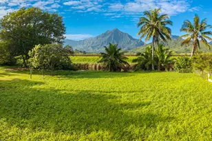221 Kihapai St, Kailua, HI 96734 - Photo 22