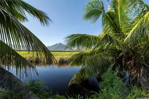 221 Kihapai St, Kailua, HI 96734 - Photo 10