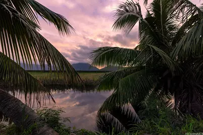 221 Kihapai Street #2, Kailua, HI 96734 - Photo 2