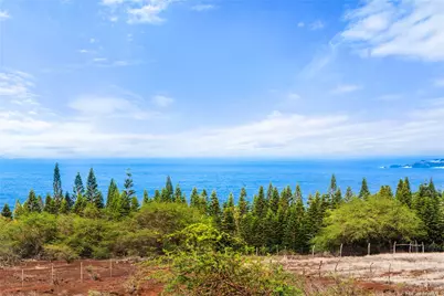 3820 Kalua Koi Road, Maunaloa, HI 96770 - Photo 18