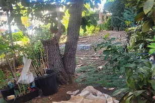 962 Spencer St, Honolulu, HI 96822 - Photo 4