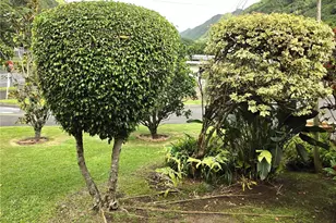 1835 Ala Aolani St, Honolulu, HI 96819 - Photo 20