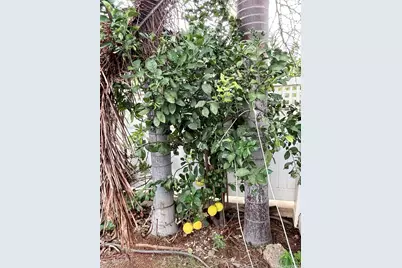 801 Kakala Street #34, Kapolei, HI 96707 - Photo 20