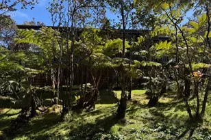11-3763 10th St, Volcano, HI 96785 - Photo 22