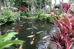 300 Wai Nani Way, Honolulu, HI 96815 - Photo 20