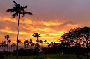 255 Kepuhi Pl, Maunaloa, HI 96770 - Photo 12