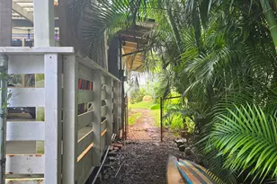 2667 Puninoni St, Wahiawa, HI 96786 - Photo 20