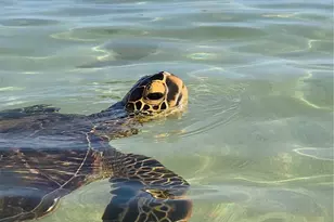 92-1516 Aliinui Dr, Kapolei, HI 96707 - Photo 22