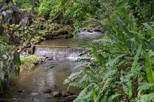 3242 Pelekane Dr, Honolulu, HI 96817 - Photo 20