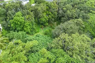 3242 Pelekane Dr, Honolulu, HI 96817 - Photo 6