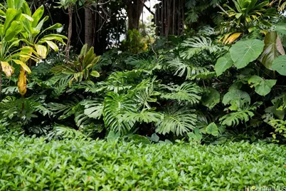 3242 Pelekane Drive, Honolulu, HI 96817 - Photo 18