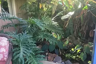 59-526 Aukauka Rd, Haleiwa, HI 96712 - Photo 12