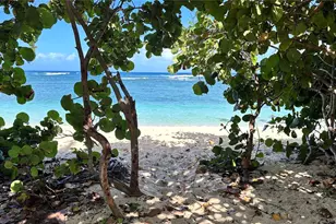 68-101 Waialua Beach Rd, Waialua, HI 96791 - Photo 12