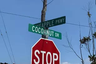 92-2377 Cocoanut Dr, Ocean View, HI 96737 - Photo 20