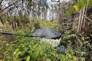 113007 Pikake St, Mountain View, HI 96771 - Photo 16