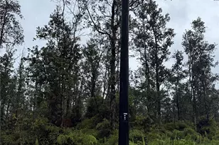 16-2045 Gardenia Dr, Pahoa, HI 96778 - Photo 4