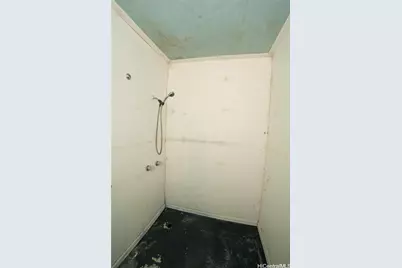 236 Lyman Avenue, Hilo, HI 96720 - Photo 14