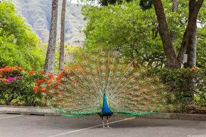 84-770 Kili Drive #J633, Waianae, HI 96792 - Photo 22