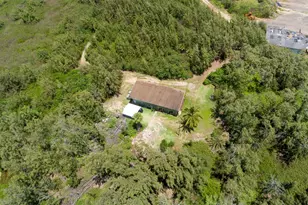 56-1081 Kamehameha Hwy, Kahuku, HI 96731 - Photo 14