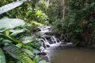 51 Kepola Pl, Honolulu, HI 96817 - Photo 24