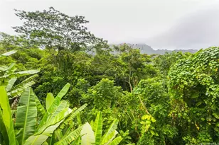 45-308 Kahiko St, Kaneohe, HI 96744 - Photo 22