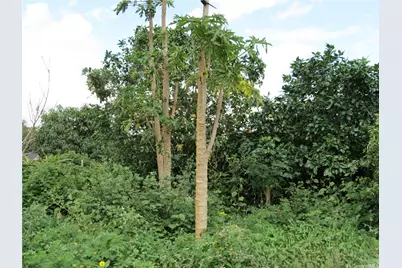 94-1100 Kunia Road #42F, Waipahu, HI 96797 - Photo 20