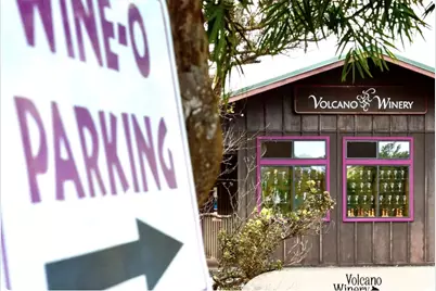 18-4011 Makuahine Road, Volcano, HI 96785 - Photo 22