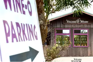 184011 Makuahine Rd, Volcano, HI 96785 - Photo 22