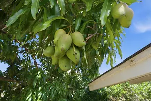 87-146 Lualei Pl, Waianae, HI 96792 - Photo 18