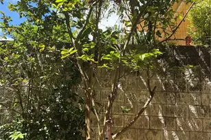 95-2048 Waikalani Pl, Mililani, HI 96789 - Photo 10