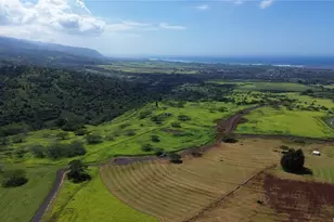 65-283 Kaukonahua Rd, Waialua, HI 96791 - Photo 4