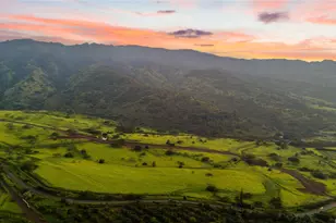 65-283 Kaukonahua Rd, Waialua, HI 96791 - Photo 4