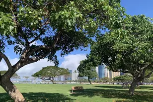 410 Atkinson Dr, Honolulu, HI 96814 - Photo 16
