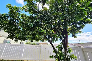 84-737 Manuku St, Waianae, HI 96792 - Photo 4
