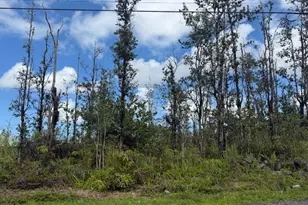16-2039 Pukalani Dr, Pahoa, HI 96778 - Photo 12