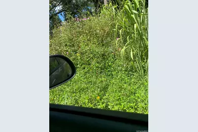 0000 37th Avenue, Keaau, HI 96749 - Photo 2