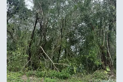 15-716 S Puni Mauka Loop, Pahoa, HI 96778 - Photo 10