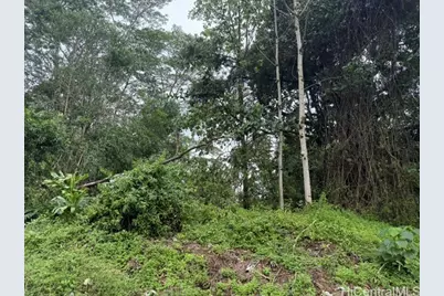 15-716 S Puni Mauka Loop, Pahoa, HI 96778 - Photo 12