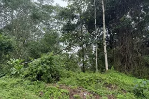 15-716 S Puni Mauka Loop, Pahoa, HI 96778 - Photo 12