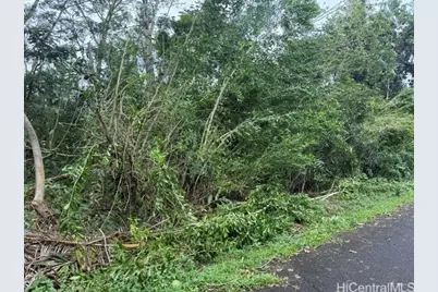 15-716 S Puni Mauka Loop, Pahoa, HI 96778 - Photo 6